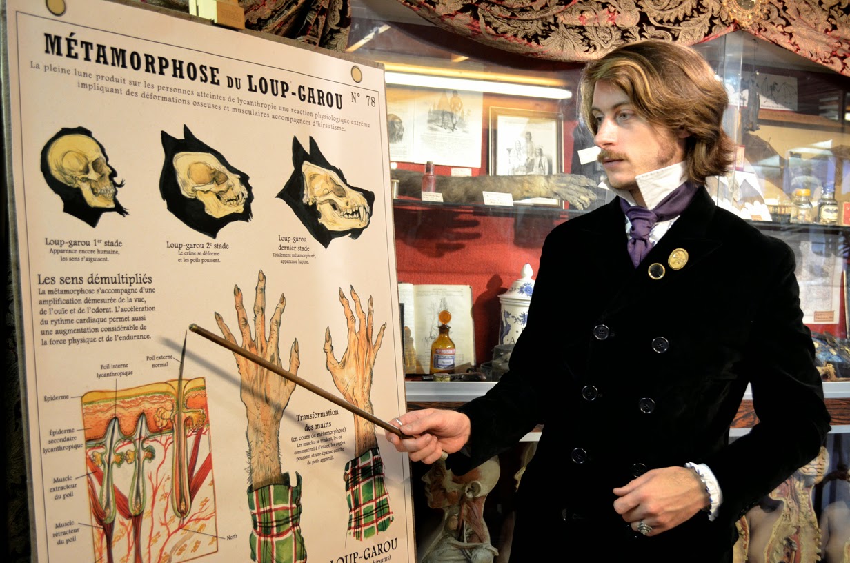 Planche anatomique loup