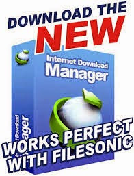 IDM Internet Download Manager 6.23 Build 15 Patch Download