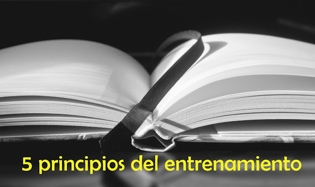 5 PRINCIPIOS DEL ENTRENAMIENTO PARA MEJORAR TU FORMA