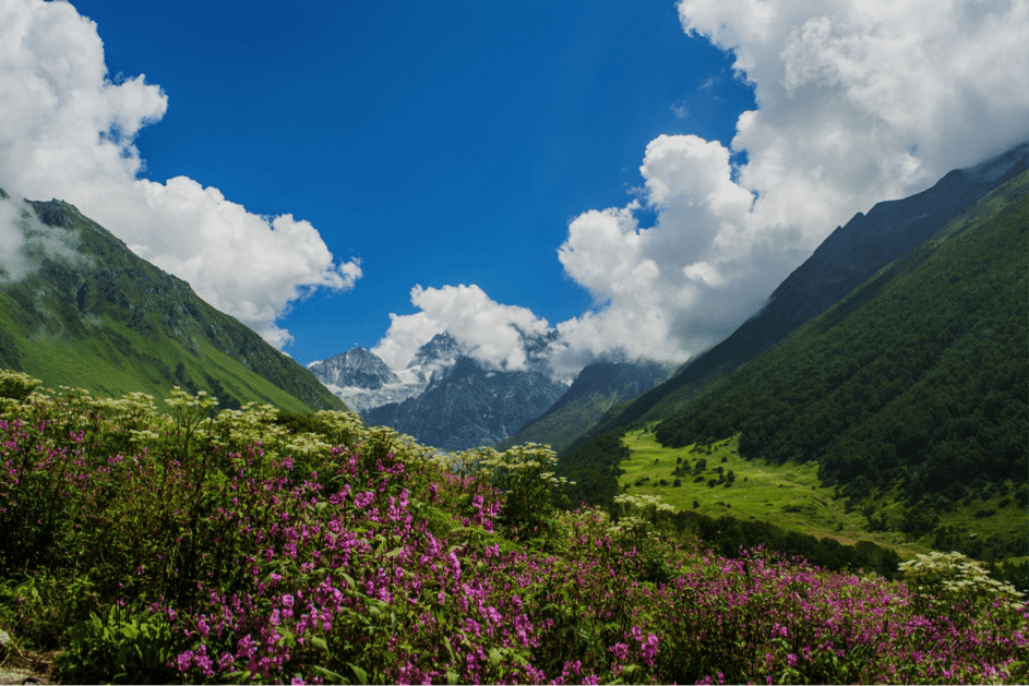 Tourists Trek To Valley Of Flowers National Park Of Uttarakhand BookWow