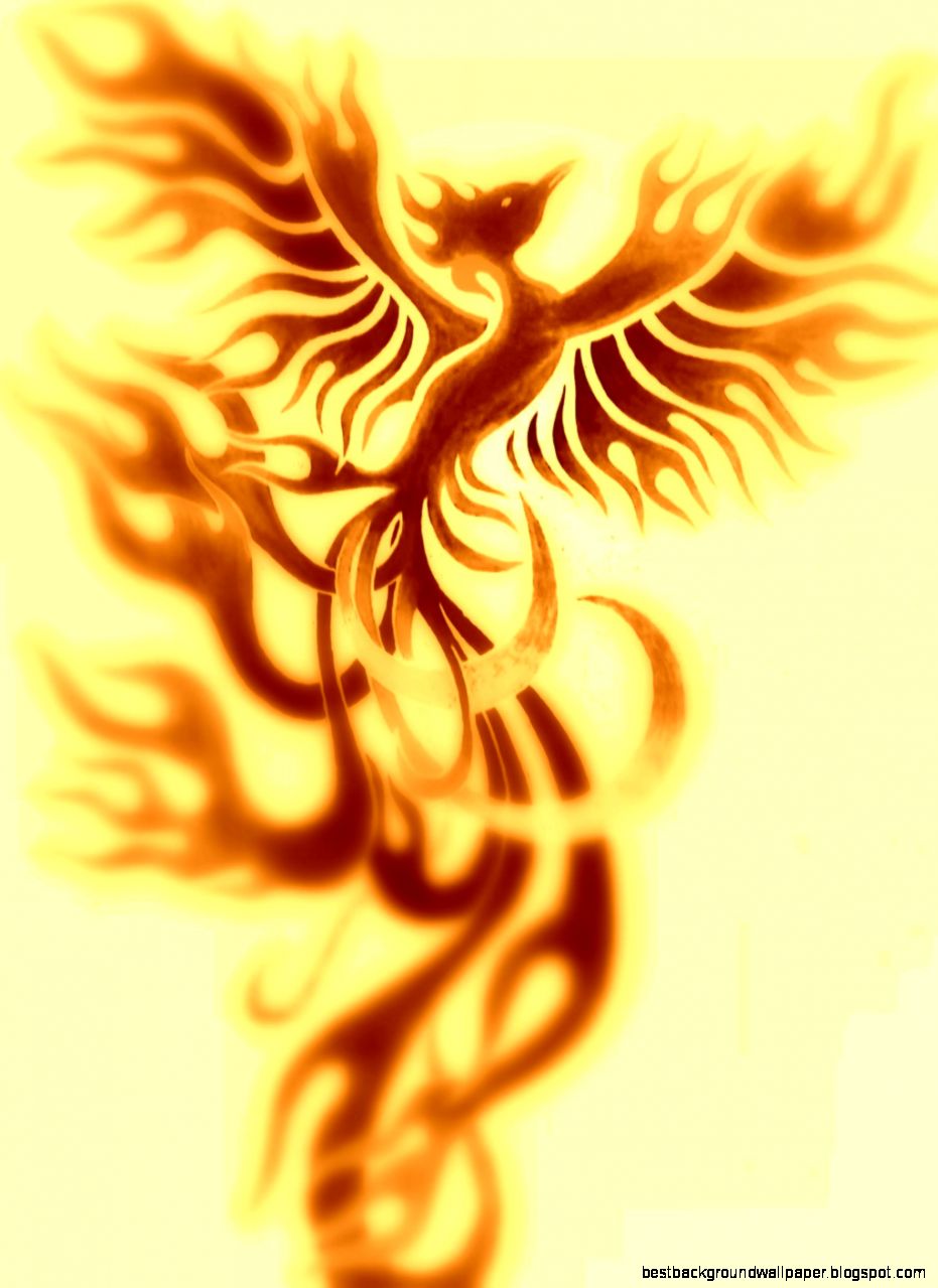Phoenix   golden by iburrysecretsinskin on DeviantArt