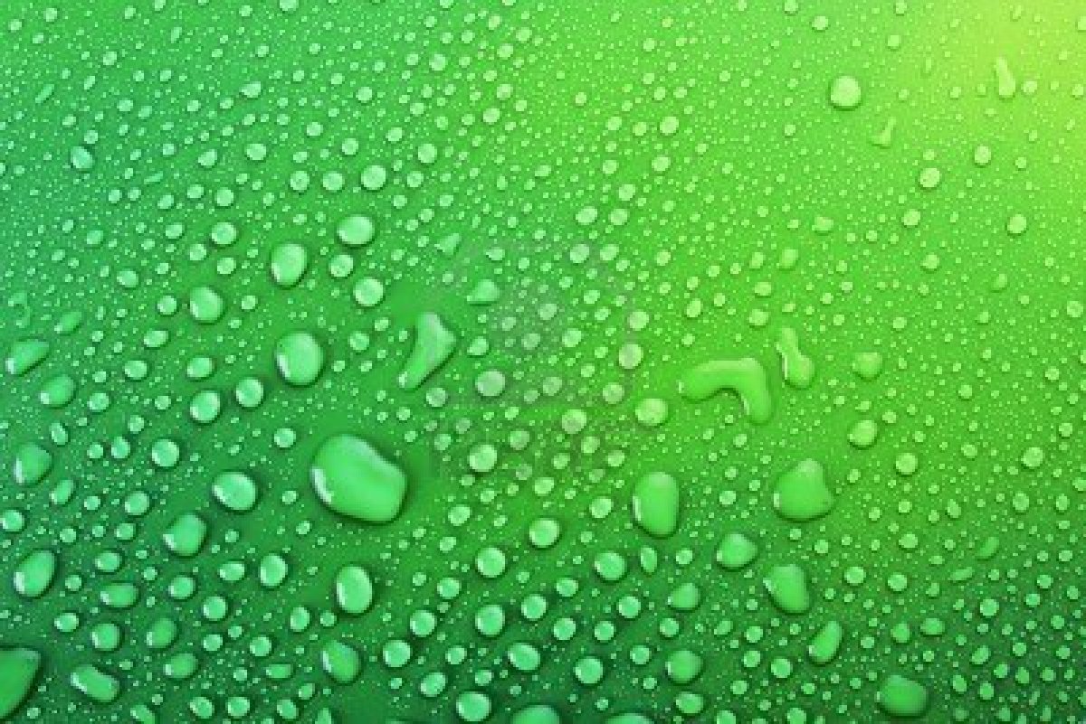 photos зураг zurag ус water 40 background forest