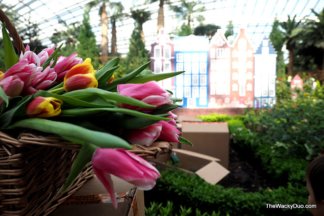 Tulipmania with Miffy @ Gardens By the Bay