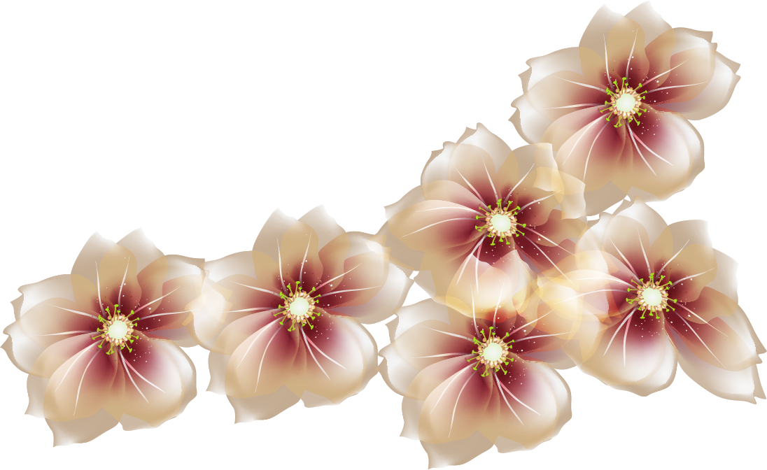 цветы букет для фотошопа. цветы на прозрачном фоне. клипарты png. клипарты png. клипарты png.