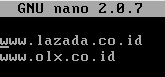 Configurasi Proxy Debian 