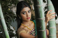 Shriya Saran Latest Glamorous Photos HeyAndhra