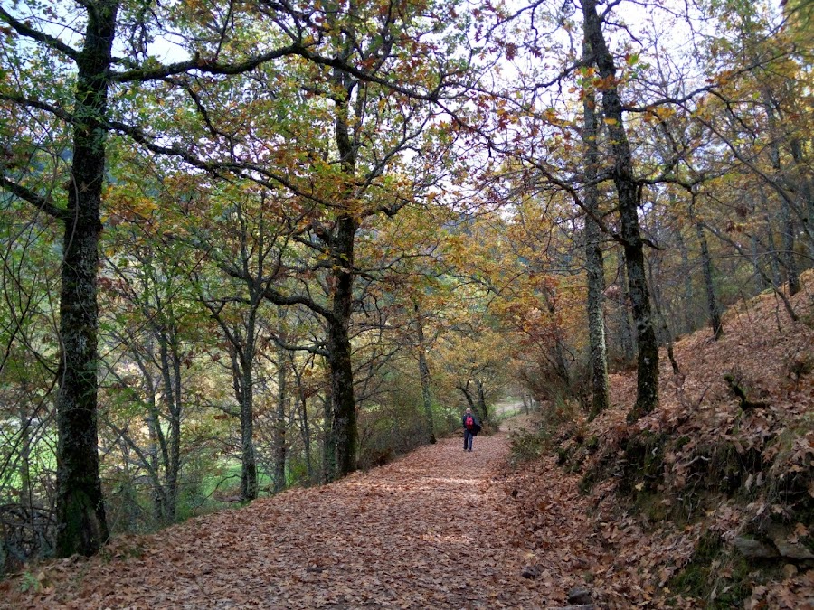 Ruta-cascadas-del-purgatorio-Rascafria