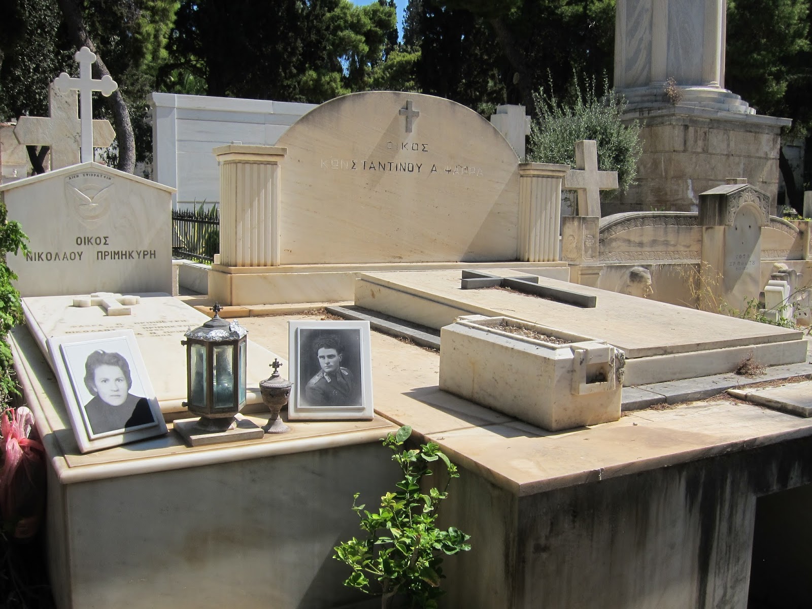 Candidanimal First National Cemetery In Athens