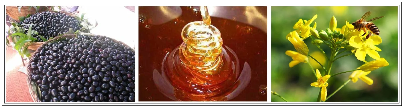 Brij Honey Laboratory Products
