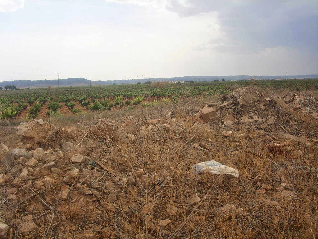 Campo Arcís: julio 2014