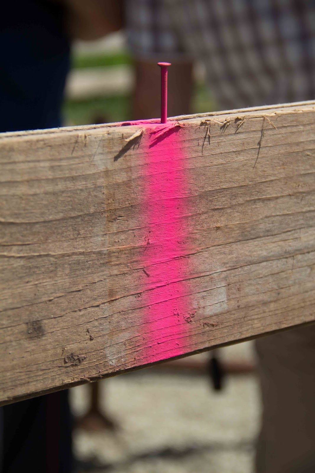 Flederhaus: Schnurgerüst und Baustahl