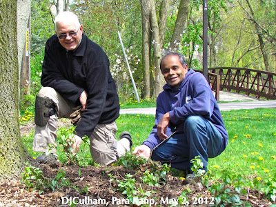 BRGSC chair, David Culham with head gardener, Para Kanp with new plants along the Waterfront Trail i Mississauga, ON