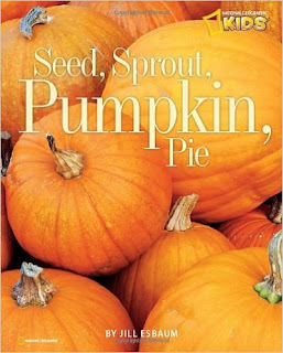 seed, sprout, pumpkin, pie book cover