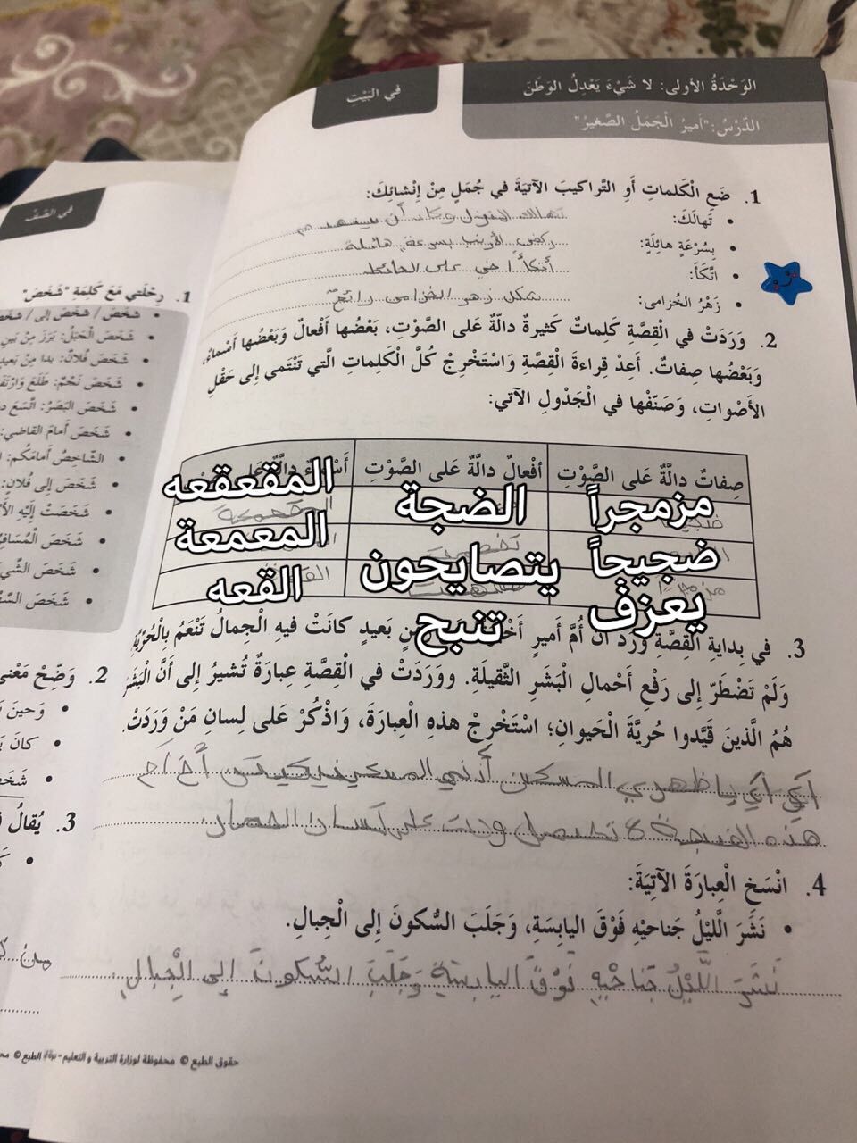 حل درس قصة امير الجمل الصغير في اللغة العربية للصف الرابع الفصل الاول