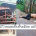 ເກີດເຫດ ມີຄົນຂີ້ລັກຂຶ້ນງັດເຮືອນປະຊາຊົນ ທີ່ ເມືອງປາກເຊ