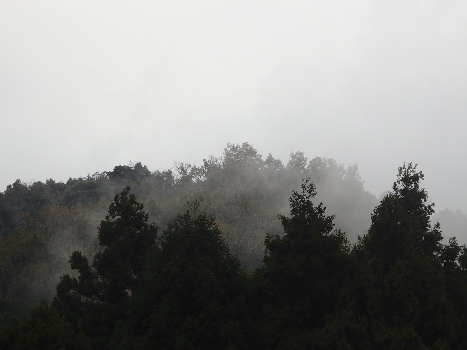 Words from a classical Japanese poem lover: November 2017