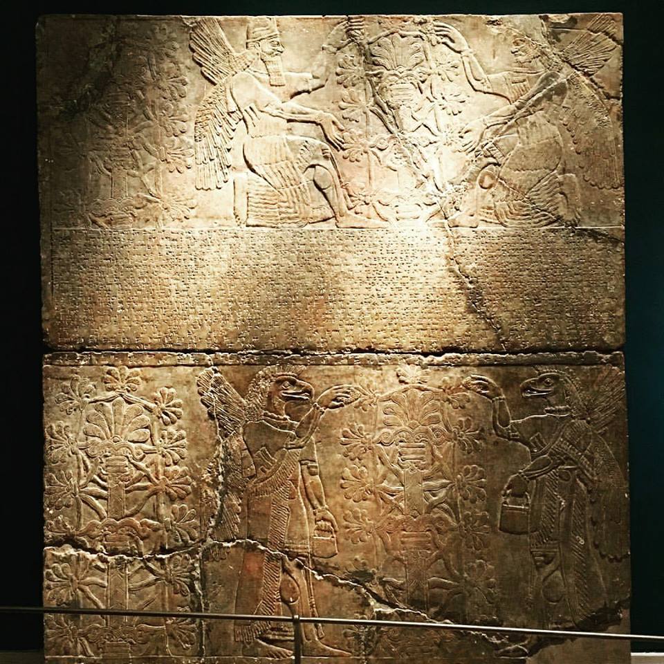 LA PLANTA DE LA ETERNA JUVENTUD ♥ LA LUMINOSIDAD DEL SER ♥ por Lida