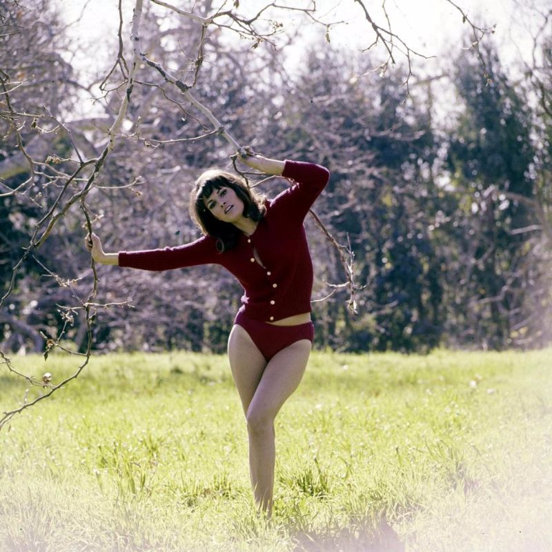 Color photos of young Raquel Welch  The classic beauty of the 1960s - 65