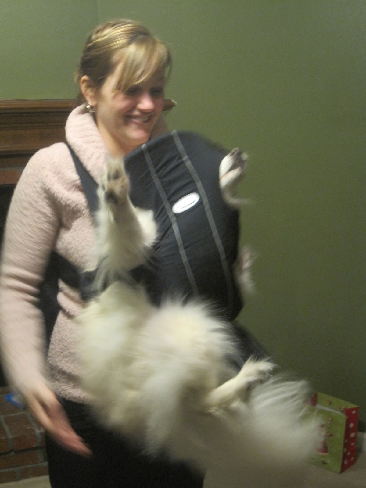 Let's See What Life's Gonna Hold Jax n the Baby Bjorn