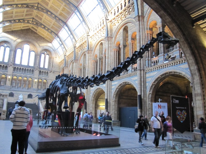 national history museum diplodocus
