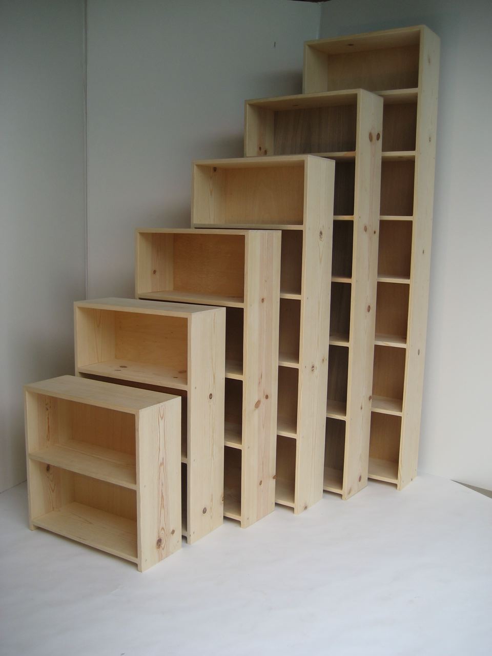 Minimalist Deep Bookcase for Living room