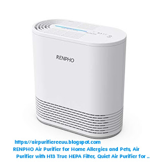 purifier eliminate pollen daner odors ozone renpho quiet smoke