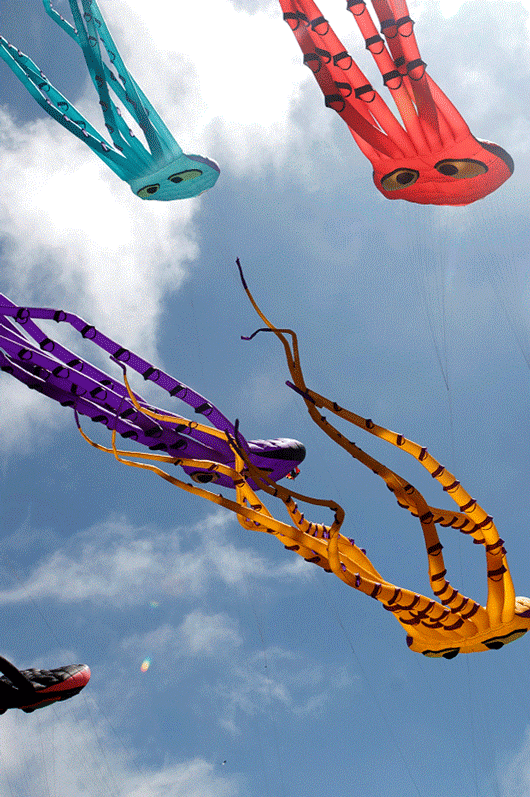 mya2zimage Design of kite