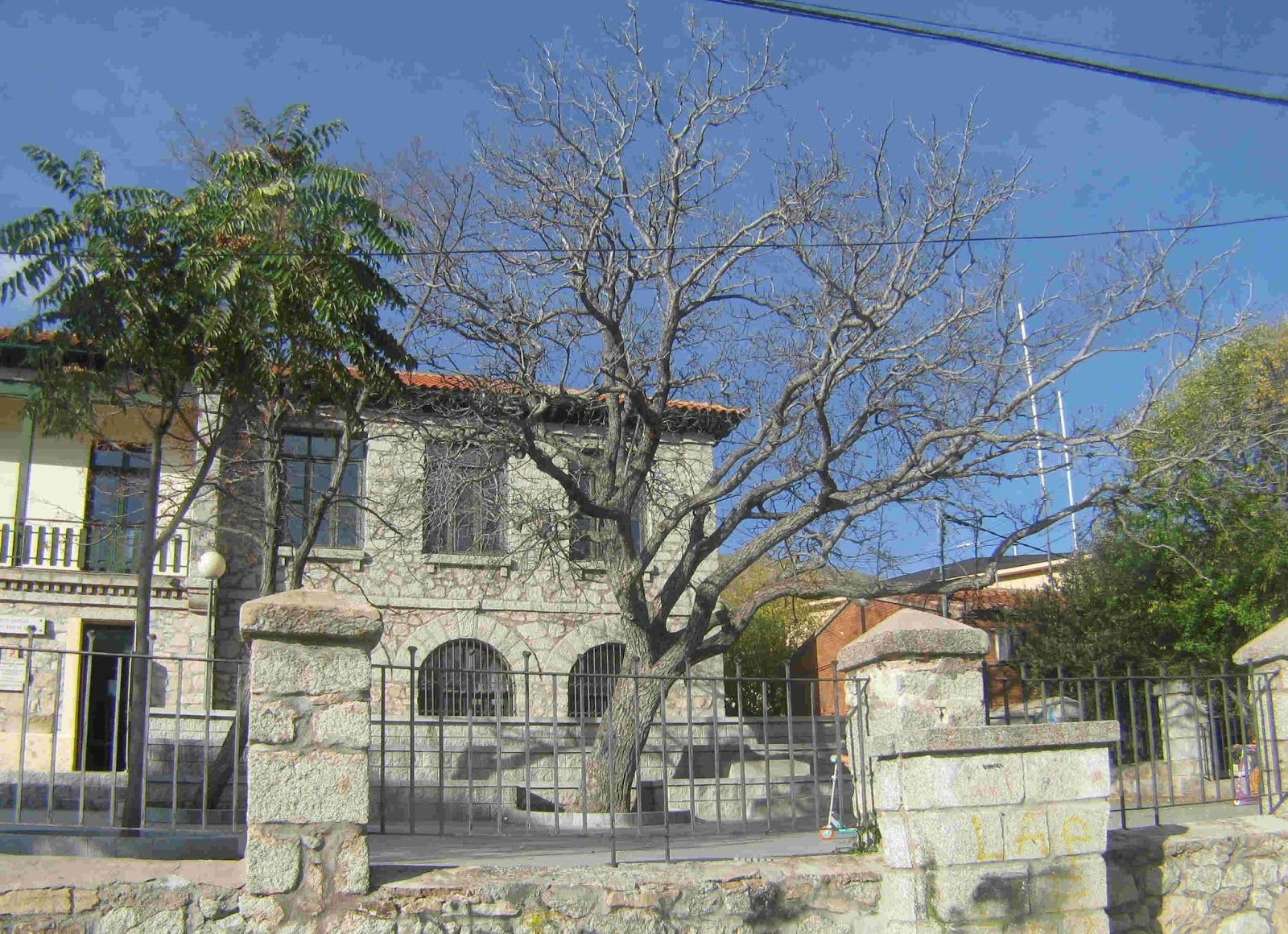 Medio Ambiente de Bustarviejo: Ha muerto el nogal de las Antiguas Escuelas