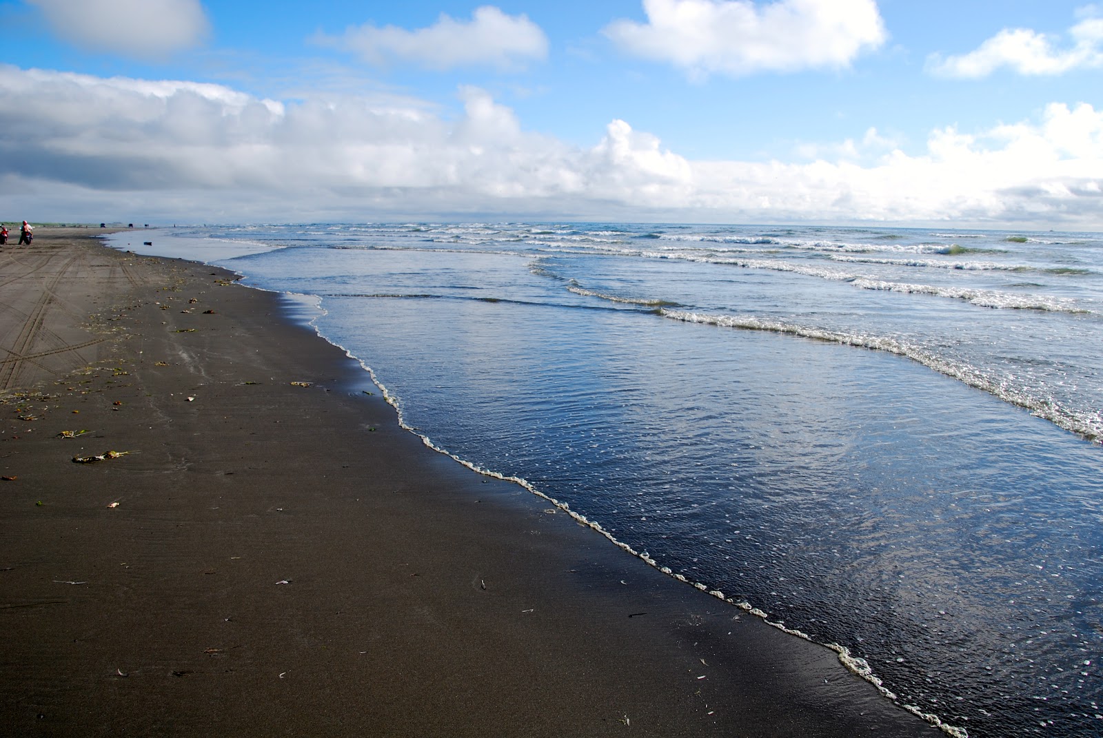 Wanderlust Traveler Ocean Shores, Washington