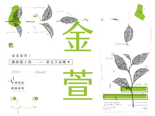 一分鐘募兩萬，新字型「jf-金萱」募資上線打破紀錄