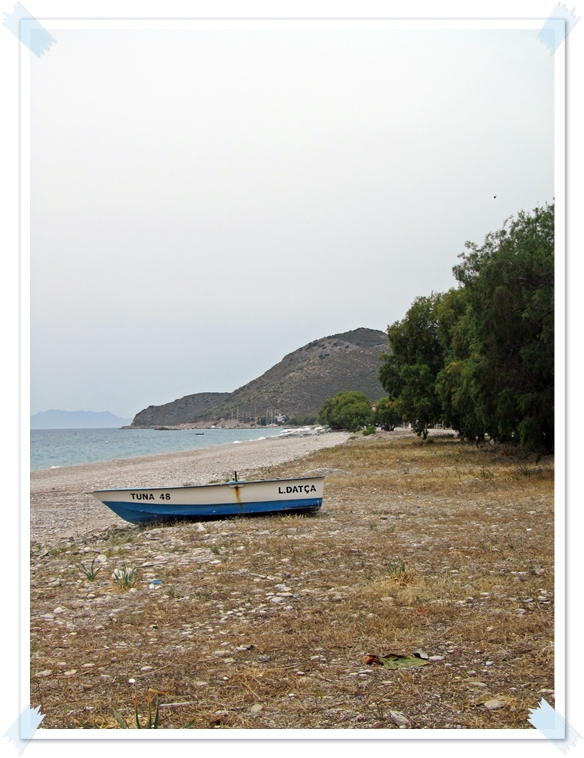 LEYLAK DALI Mayıs 2013