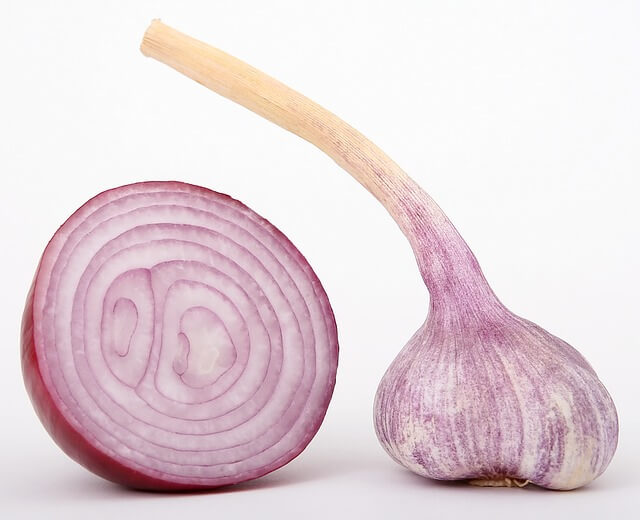 Onion feed is useful for preventing diabetes