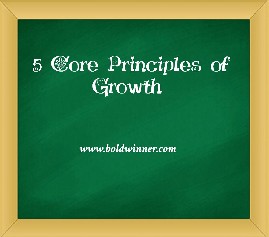 5 Core Principles Of Growth