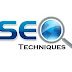 Seo Techniques for Website Promotion