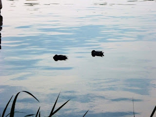 Tegelort, pe langa lac