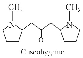 Cuscohygrine Synonyms Cuskhygrine; Bellaradine