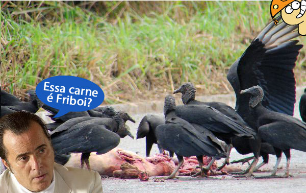 Resultado de imagem para carne podre jbs