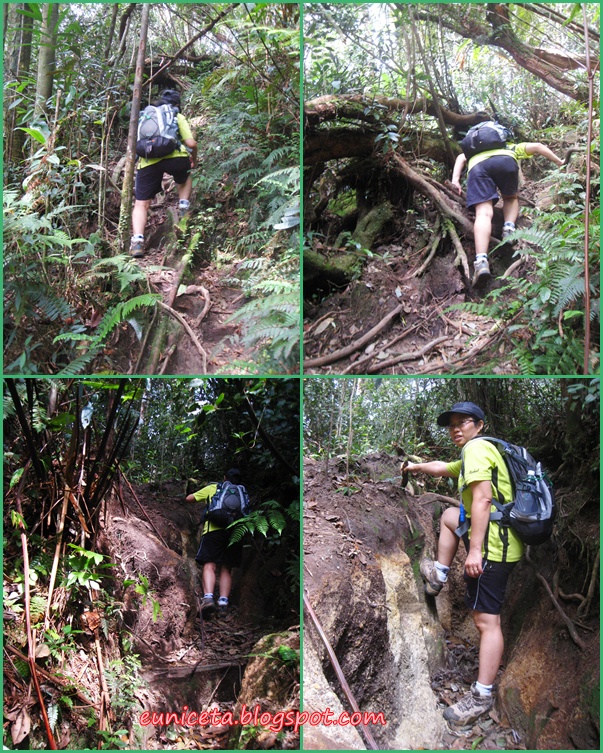 Bits and Pieces Climbing Pine Tree Hill & Twin Peak