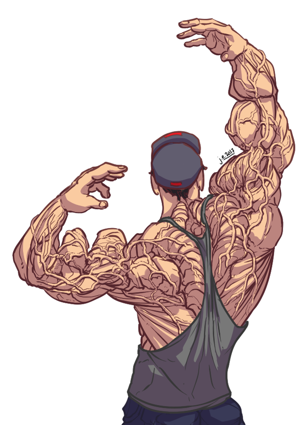 брахиалис анатомия. сжатые мышцы. самые мощные предплечья. мышцы женщины. сжатые мышцы.