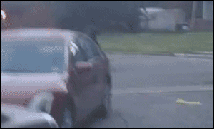 theqoo inserted image