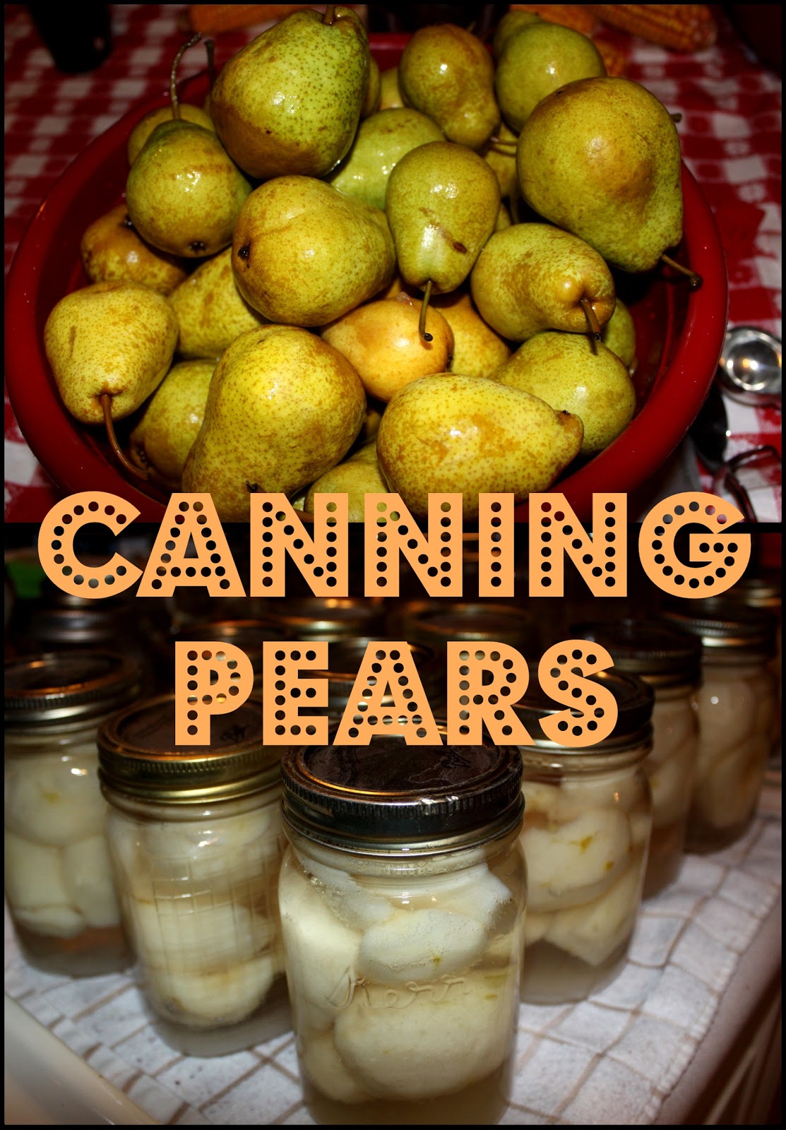 Oopsie Daisy Designs Canning Pears