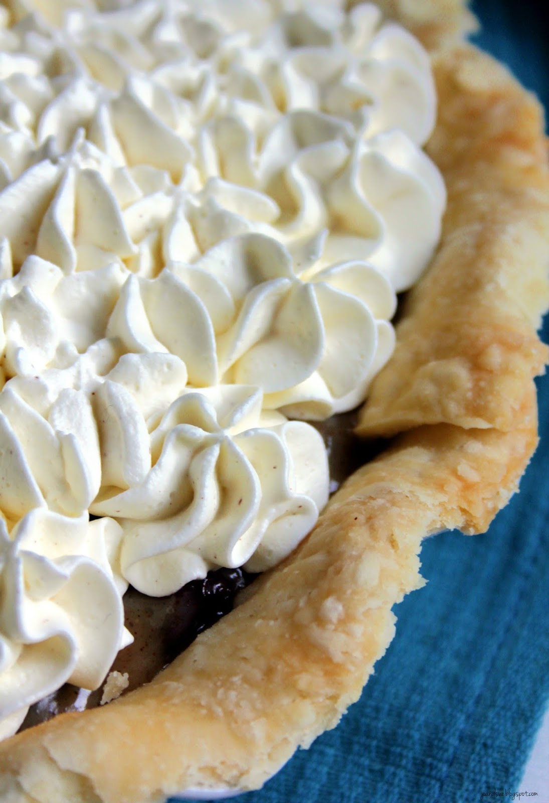 Jo and Sue Sour Cream Raisin Pie