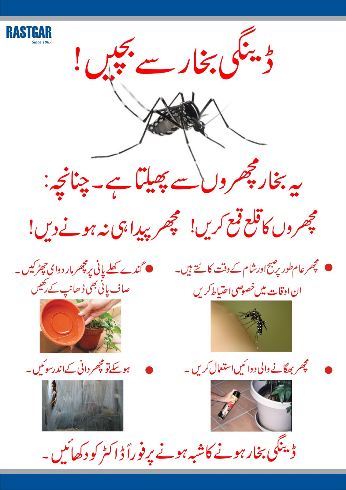 Dengue Fever Help: Dengue Urdu Poster 0001
