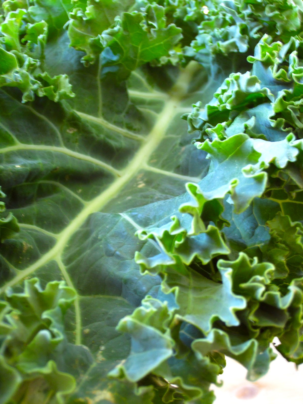 RAW Food for Truth Got Kale?