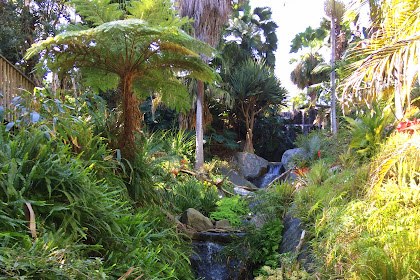 San Diego Botanic Garden - Encinitas, CA in Pics