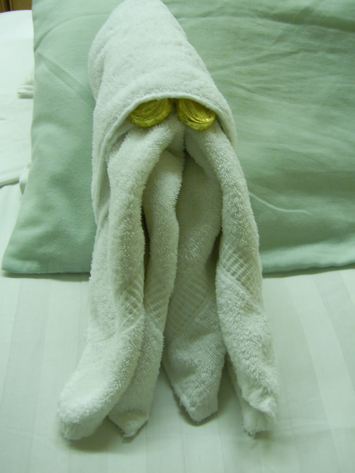 Cruise the Pacific More Towel Animals to Brighten Your Day