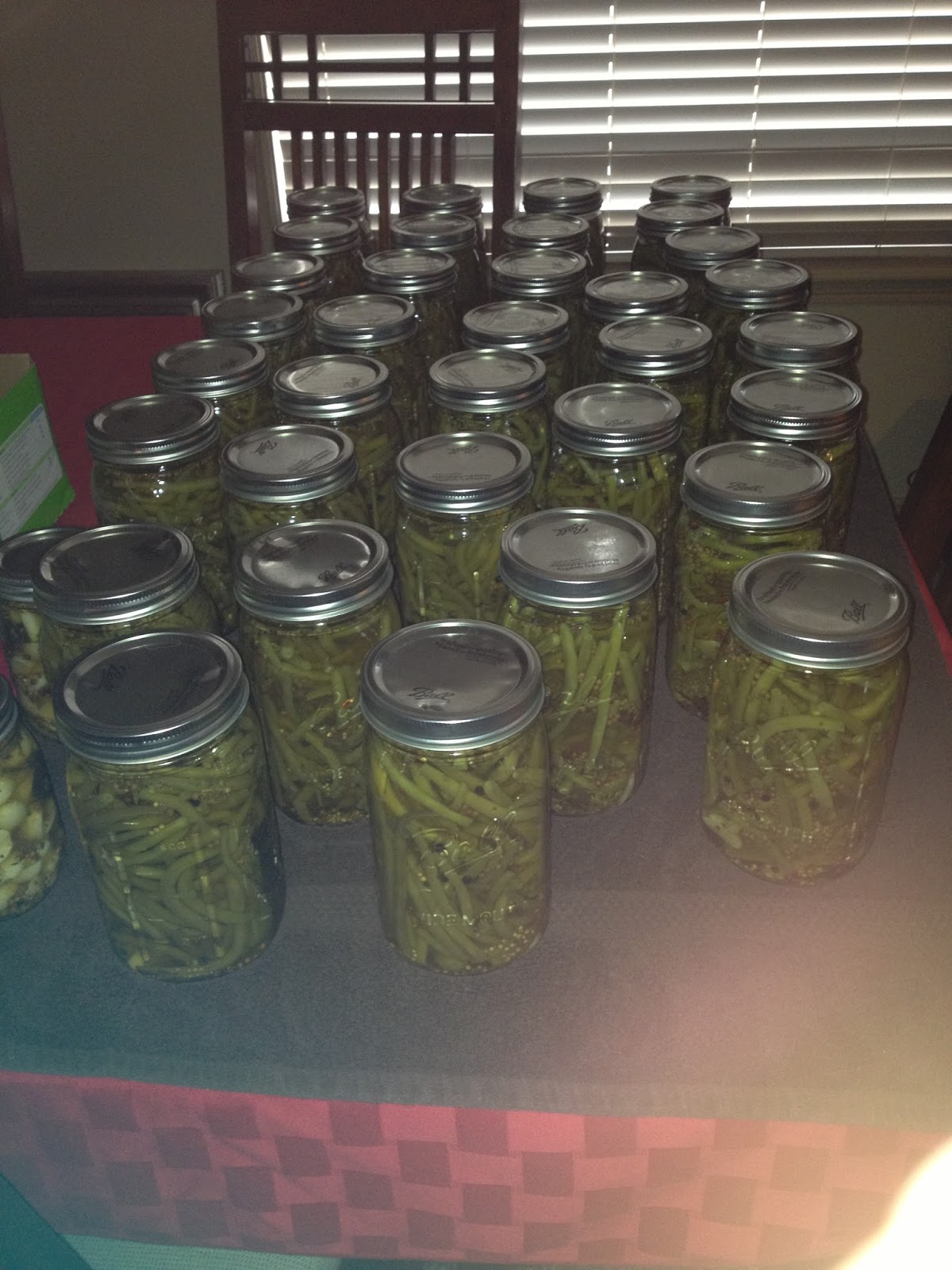 My Mama Always Said.... Spicy Pickled Green Beans A Canning Tutorial without a Pressure Cooker!