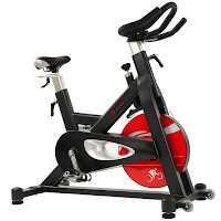 Sunny Health & Fitness SF-B1714 Evolution Pro Indoor Cycle Spin Bike, with 44 lb flywheel, supports up to 330 lb user weight capacity, belt-drive, variable magnetic resistance, push-down brake, fully adjustable seat & handlebars
