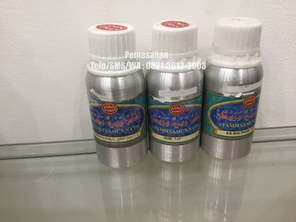 jual bibit minyak wangi murah jual bibit minyak wangi murah