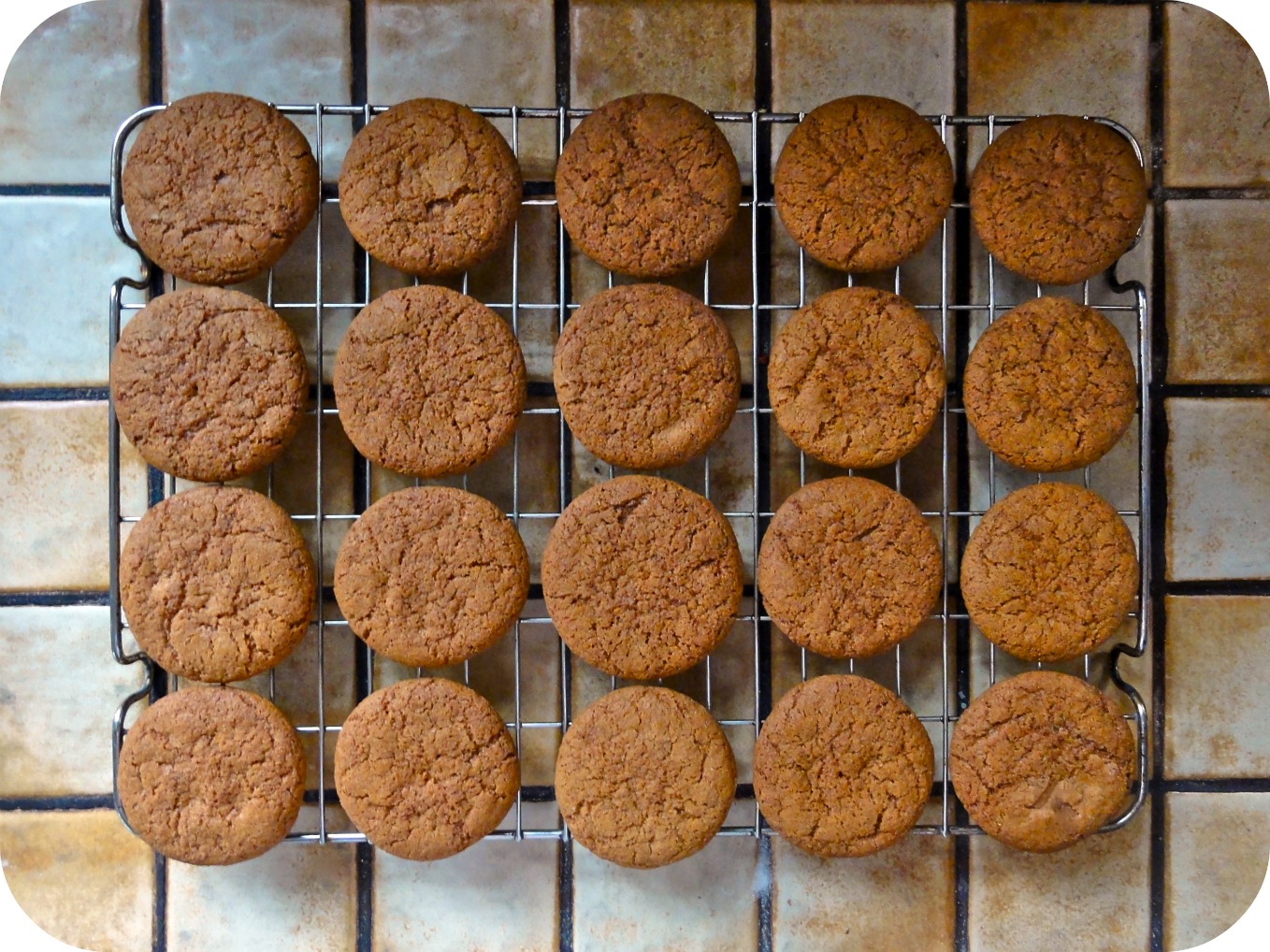 The Procrastobaker Gran s Ginger Biscuits 